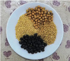 具胺基酸互補作用的穀類和豆類